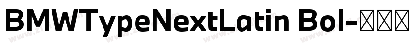 BMWTypeNextLatin Bol字体转换